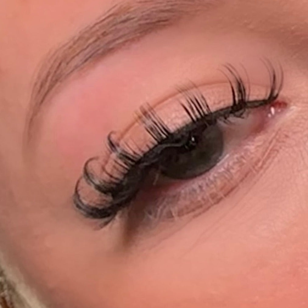 VENUS LASH